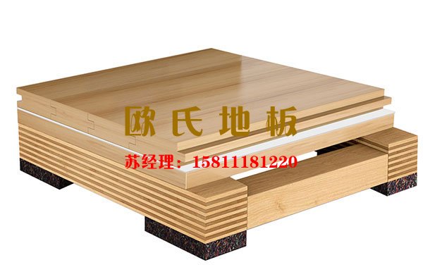 體育木地板結(jié)構(gòu),主副龍骨結(jié)構(gòu)系統(tǒng),運動木地板結(jié)構(gòu)系統(tǒng),籃球地板結(jié)構(gòu)系統(tǒng)